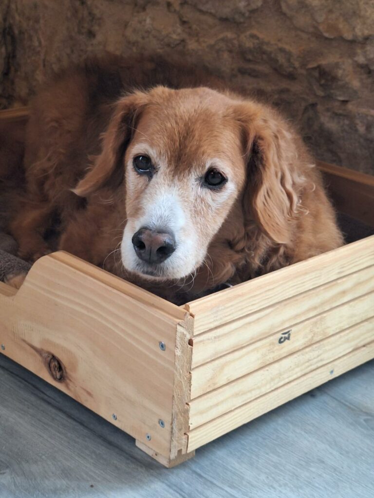 whatsapp image 2026 03 09 at 18.18.48 (3)