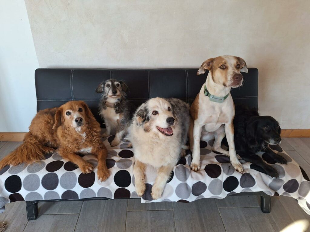 whatsapp image 2026 03 09 at 18.18.48 (4)